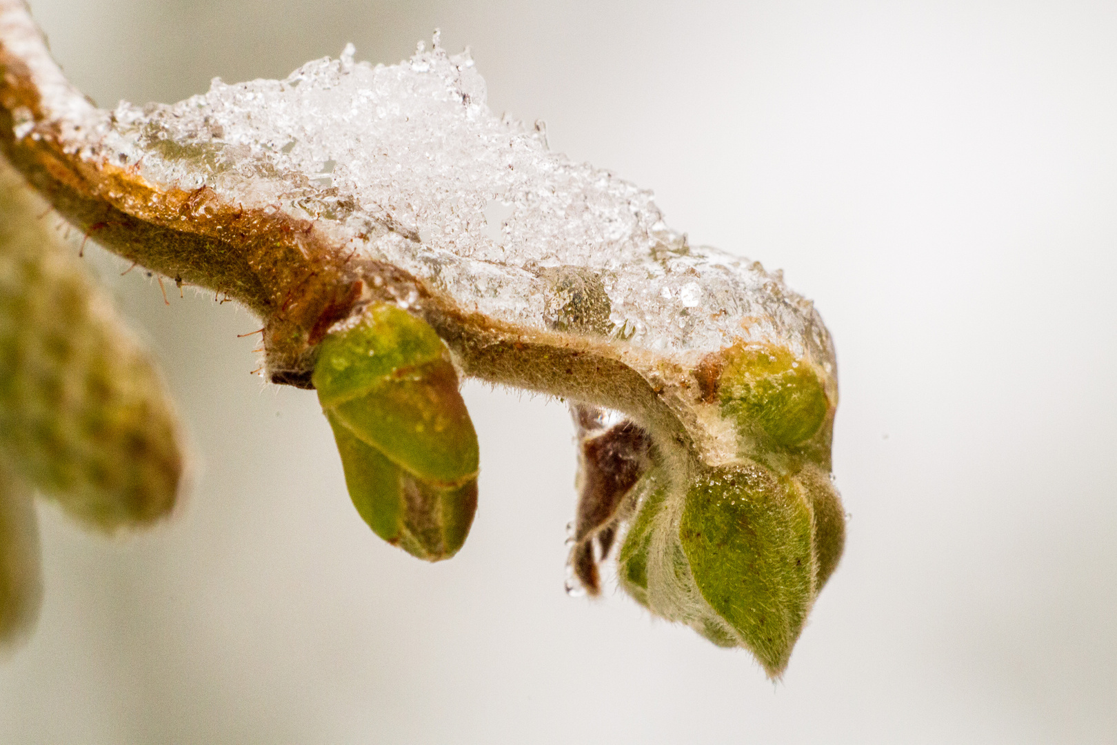 Kampf gegen den Winter.