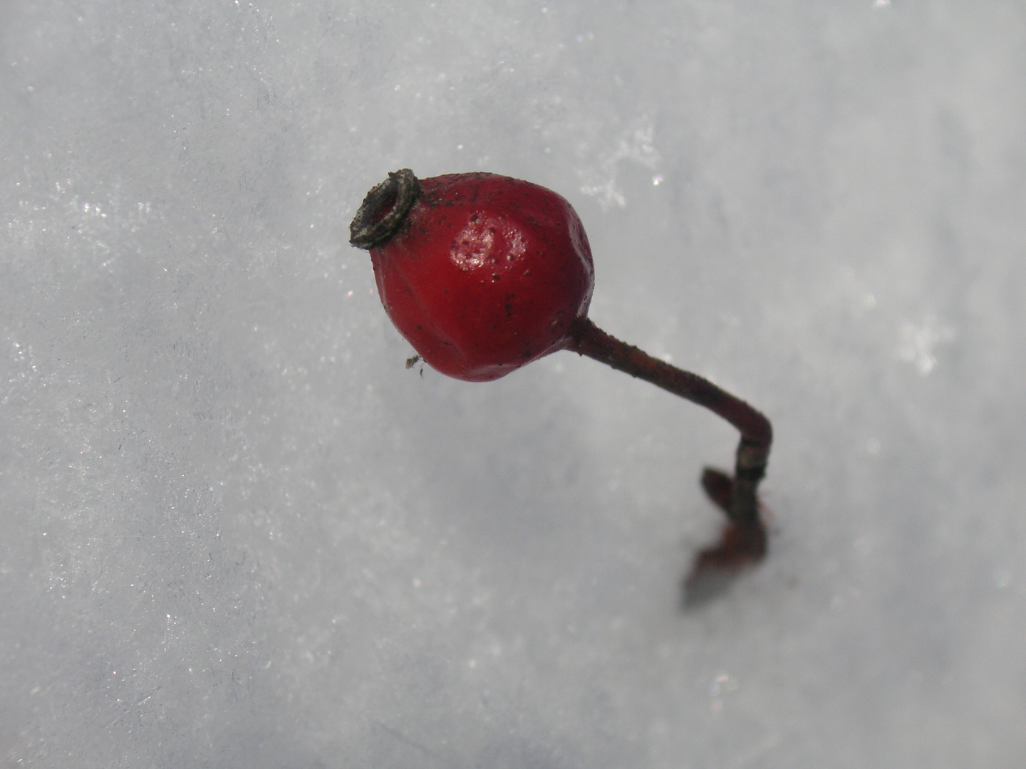 Kampf gegen den Winter