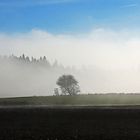 Kampf gegen die Wolken