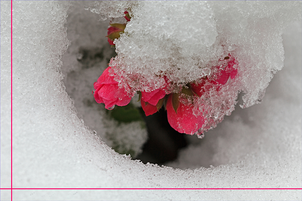 Kampf gegen Schnee ...