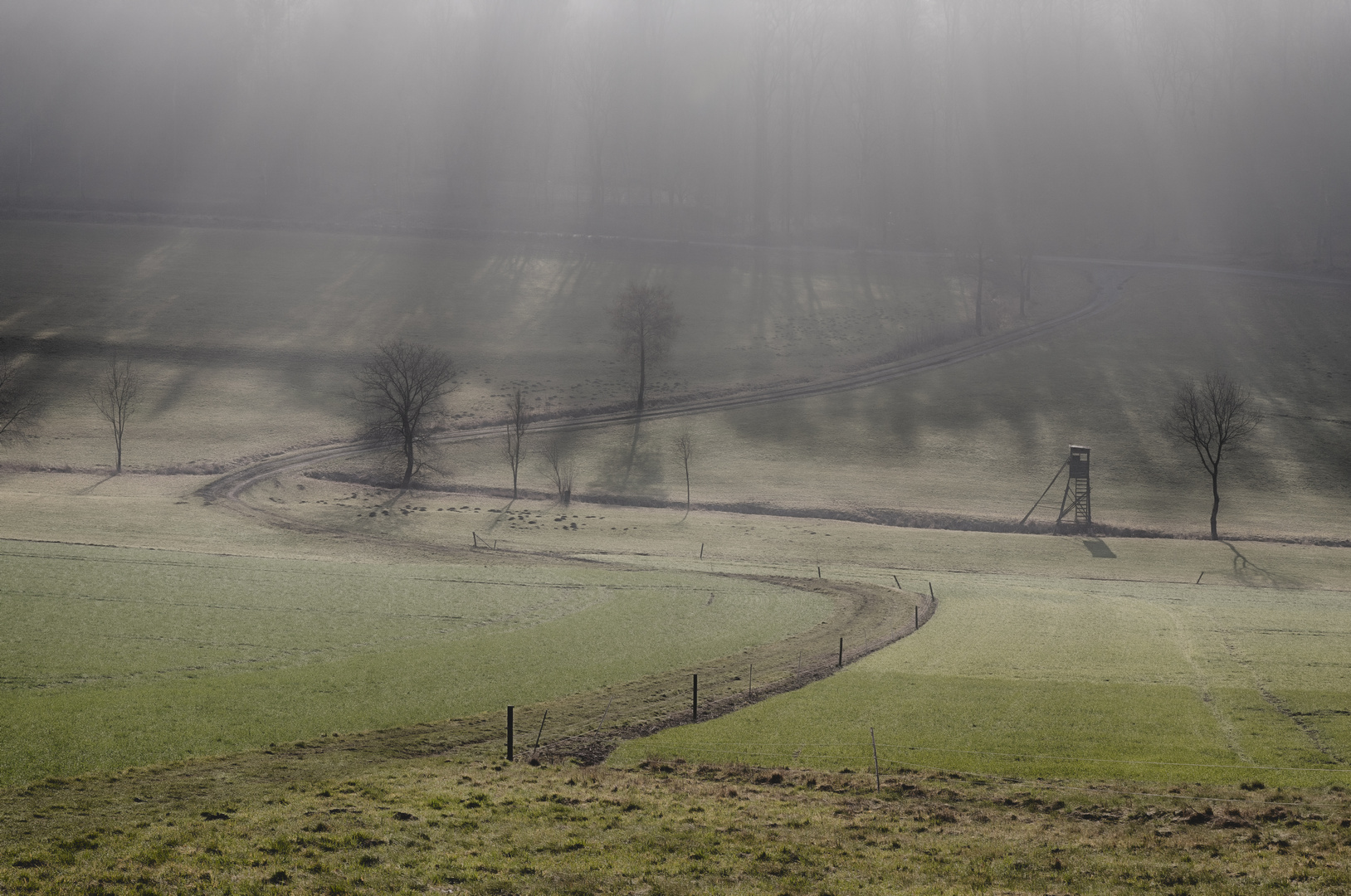 Kampf Sonne gegen Frühnebel