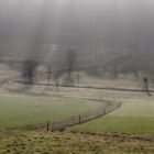 Kampf Sonne gegen Frühnebel