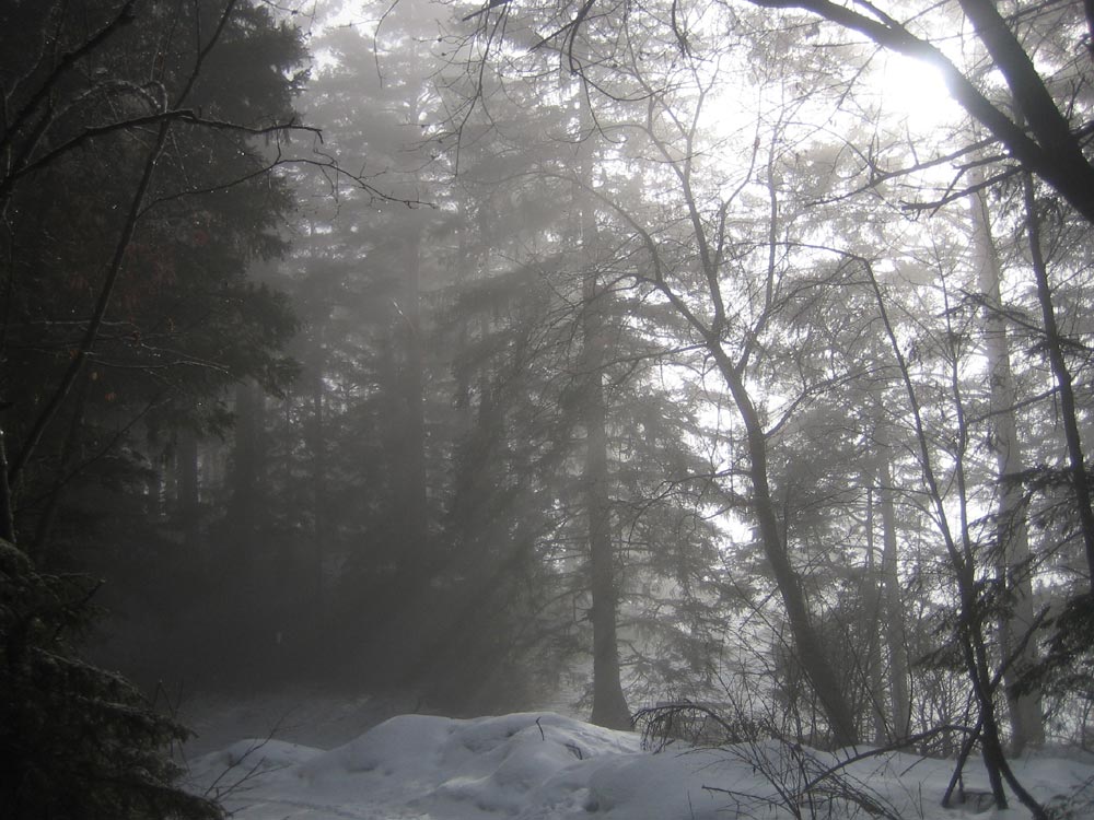 Kampf Sonne gegen Nebel