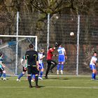 Kampf um den Ball....Frauen ganz sportlich....