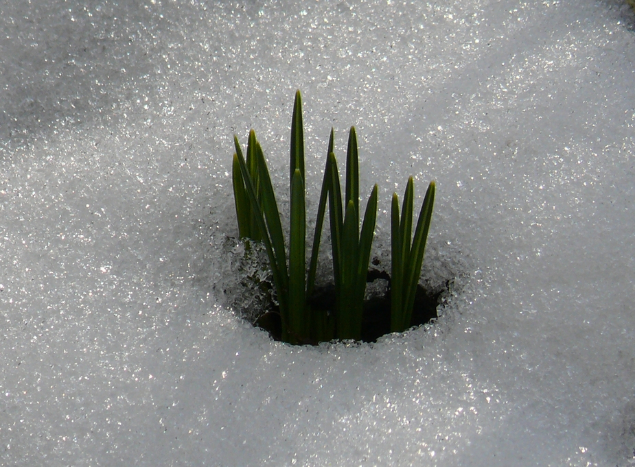 Kampf Winter gegen Frühling