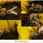 Kampfbienen coll