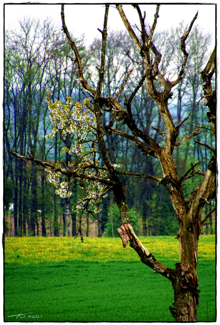 KampfGegenDenZerfall_170414