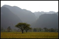 Kampfgeschwader?, Khammouane Provinz, Laos