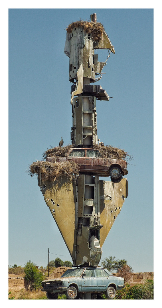 Kampfjet mit Storch