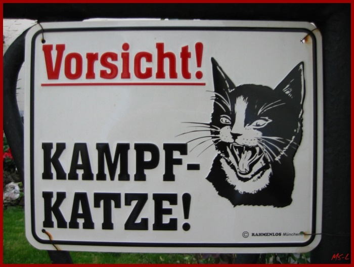 Kampfkatze....