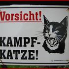 Kampfkatze....