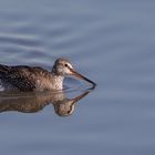 Kampfschwimmer(läufer)