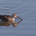 Kampfschwimmer(läufer)