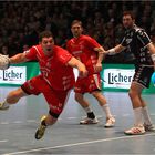 ... kampfstark - DKB Handball Bundesliga 2012/13