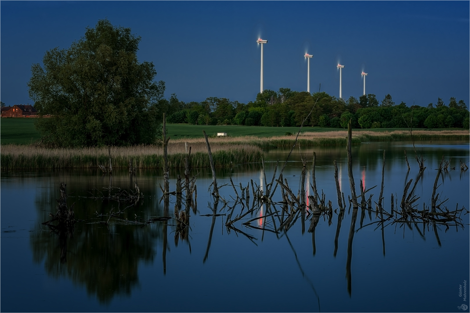 Kamplake in Unseburg