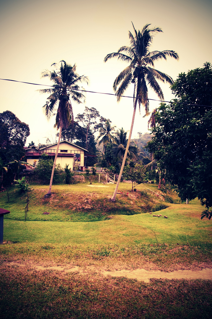 Kampong szene