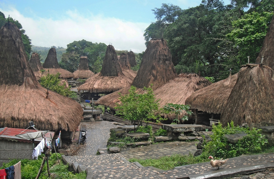 Kampung Tarung