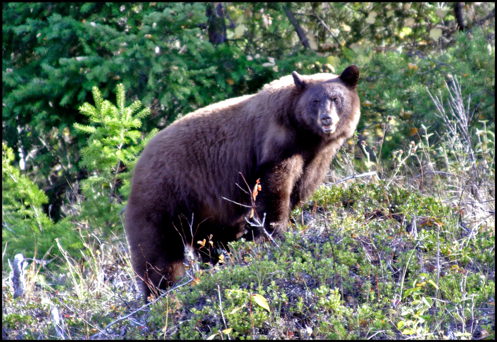 Kanada Herbst 2010