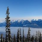 Kanada - Kicking Horse