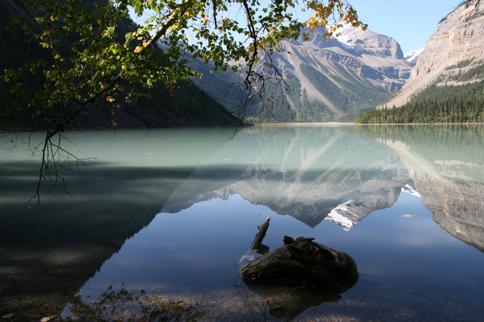 Kanada: Mount Robson über dem Kinney Lake