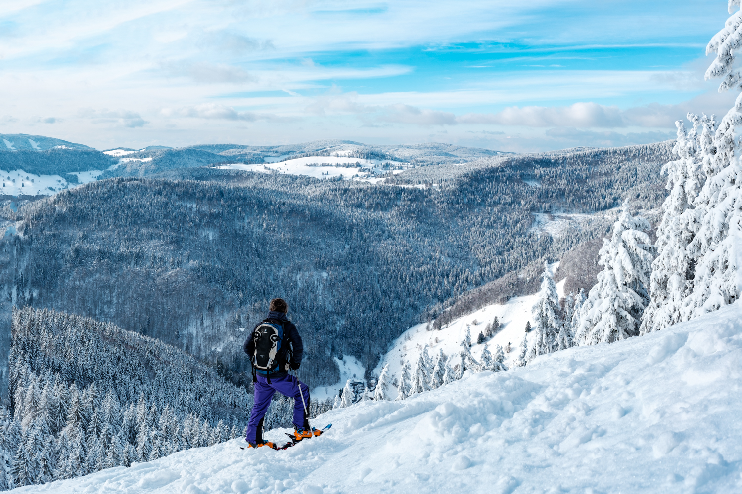 Kanada oder Schwarzwald?