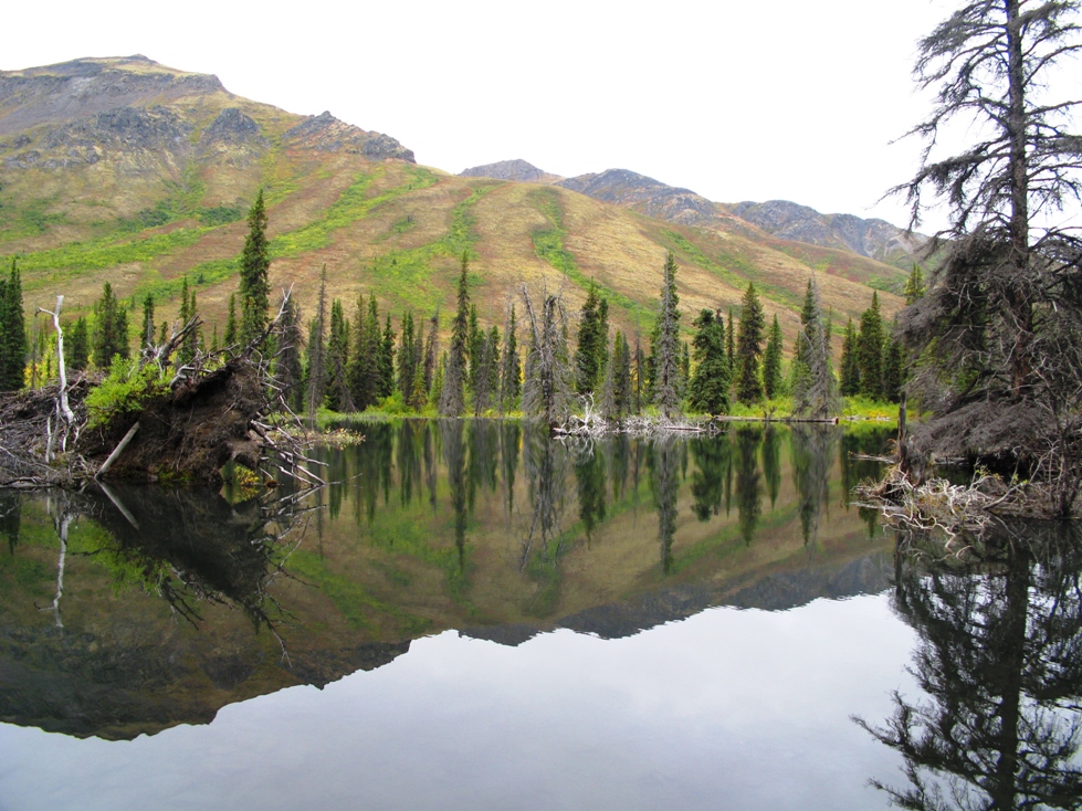 Kanada Yukon /Dempster Highway Thombstone