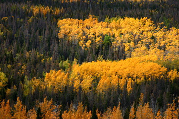 Kanada's Farben im Herbst