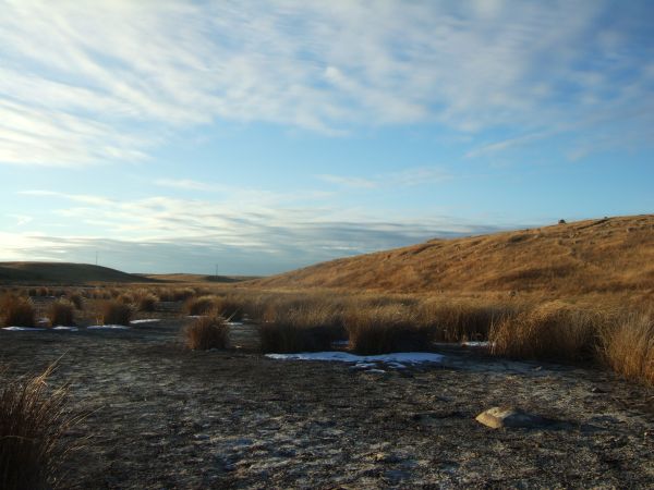 Kanada's Moorlandschaft trocken