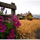 Kanadischer "Farmer's Market"