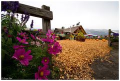 Kanadischer "Farmer's Market"