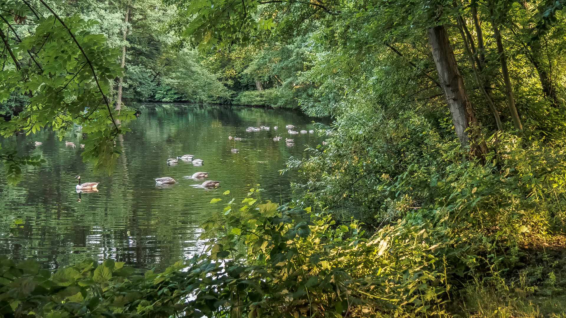 Kanadisches Abendmahl