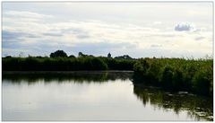 Kanäle bei Greetsiel