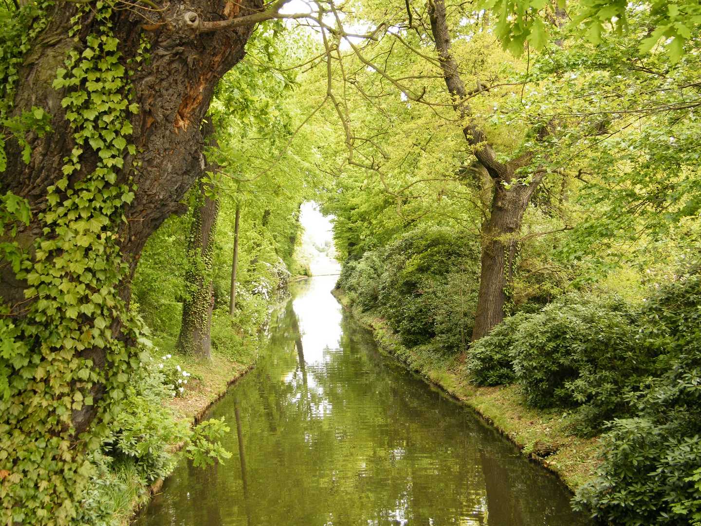 Kanäle im Gartenparadies