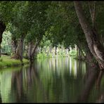 Kanäle von Marais Poitevin