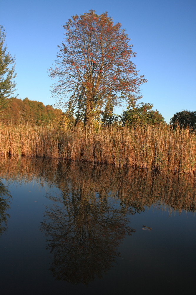 Kanal im Herbst