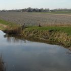 Kanal im Marschland