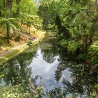 Kanal im Park