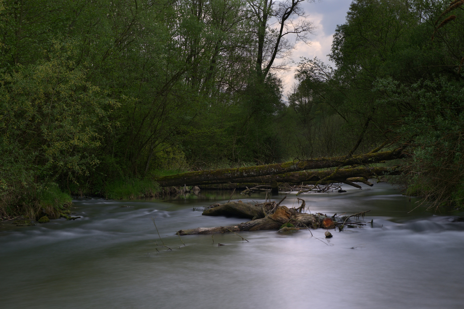 Kanal in Ruggell I