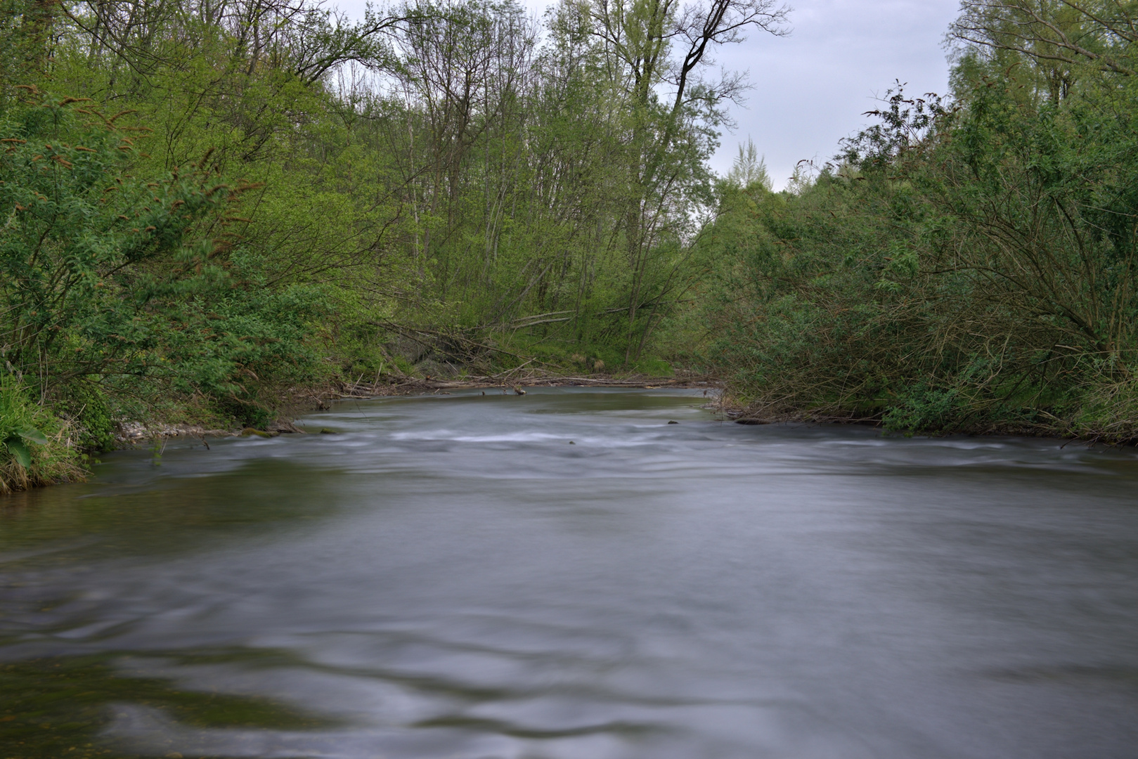 Kanal in Ruggell II