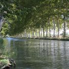 Kanal mit Bäumen in Südfrankreich