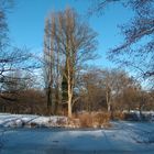 Kanal mit Baum