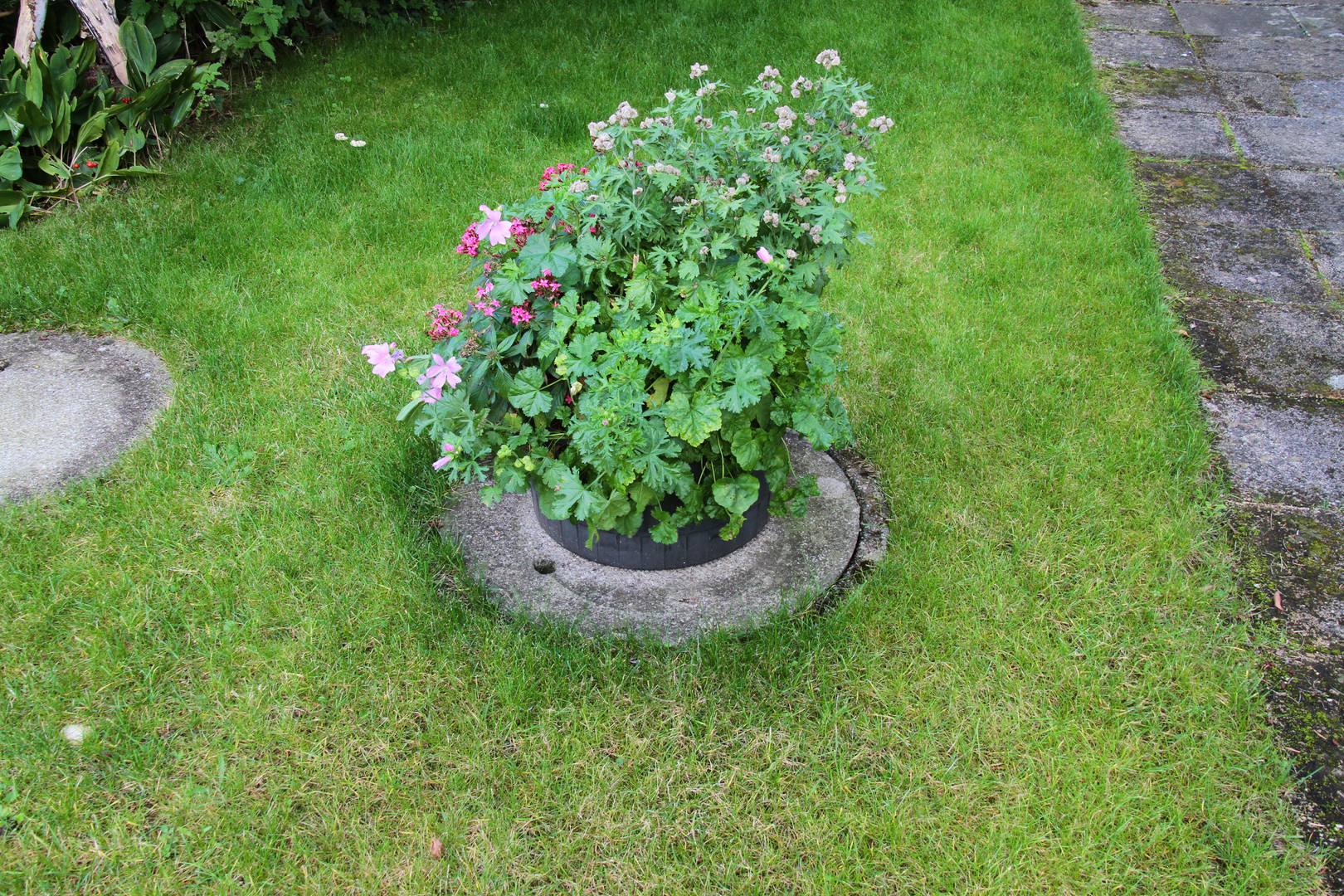 Kanaldeckel Im Garten Garten Design Idee Fotos