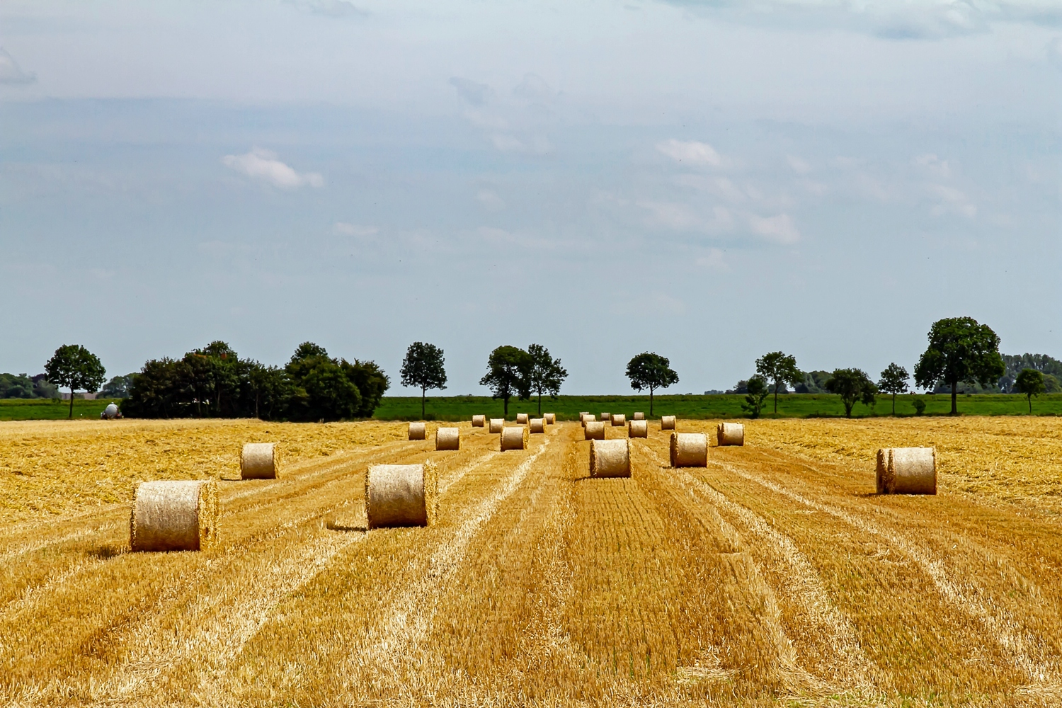 Kanalpolder