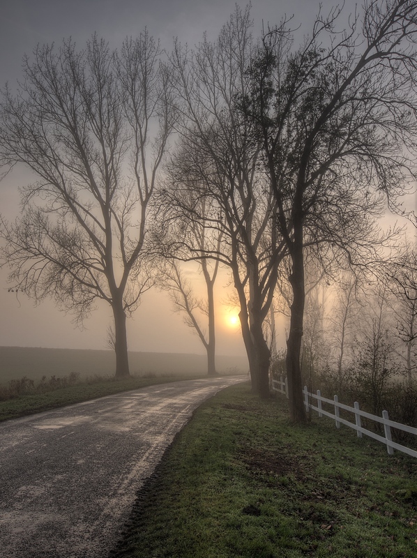 Kanalpolder im Nebel