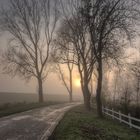 Kanalpolder im Nebel