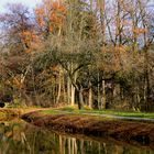 Kanalufer im Herbst