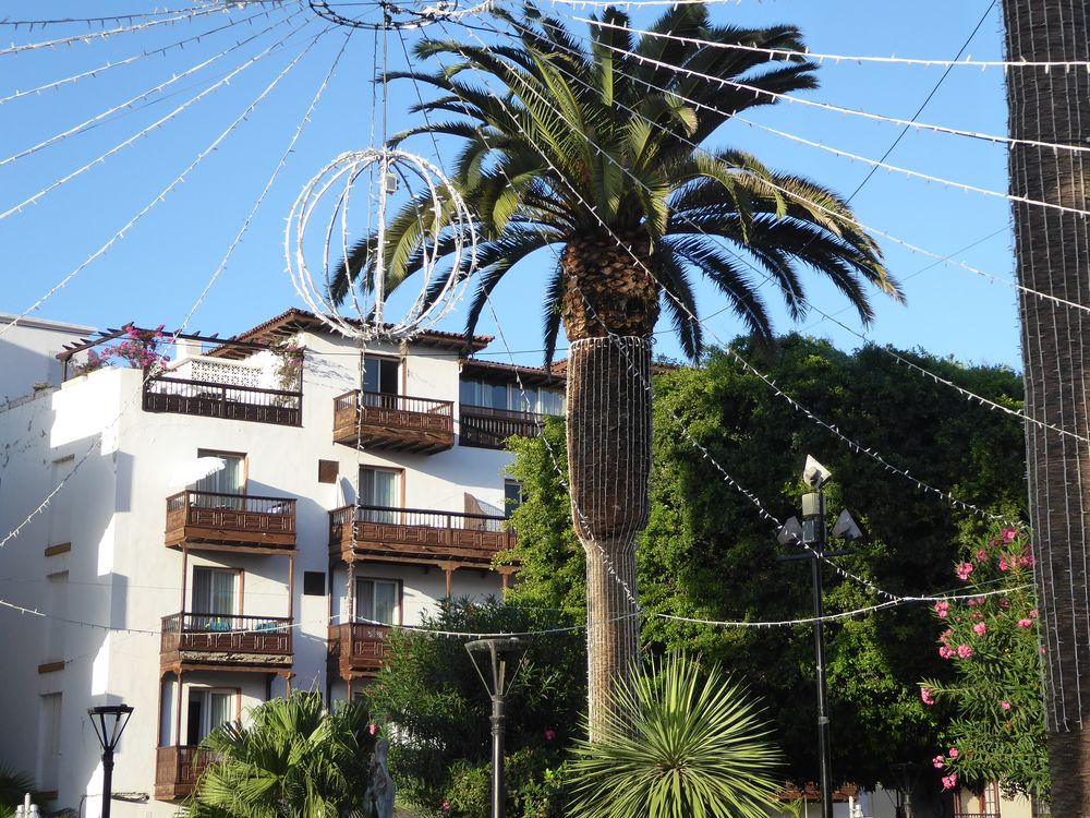 KanarenAdvent.... Foto & Bild gratulation und feiertage, weihnachten christmas, teneriffa
