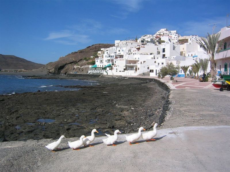 Kanaren, Fuerteventura, Las Playtas