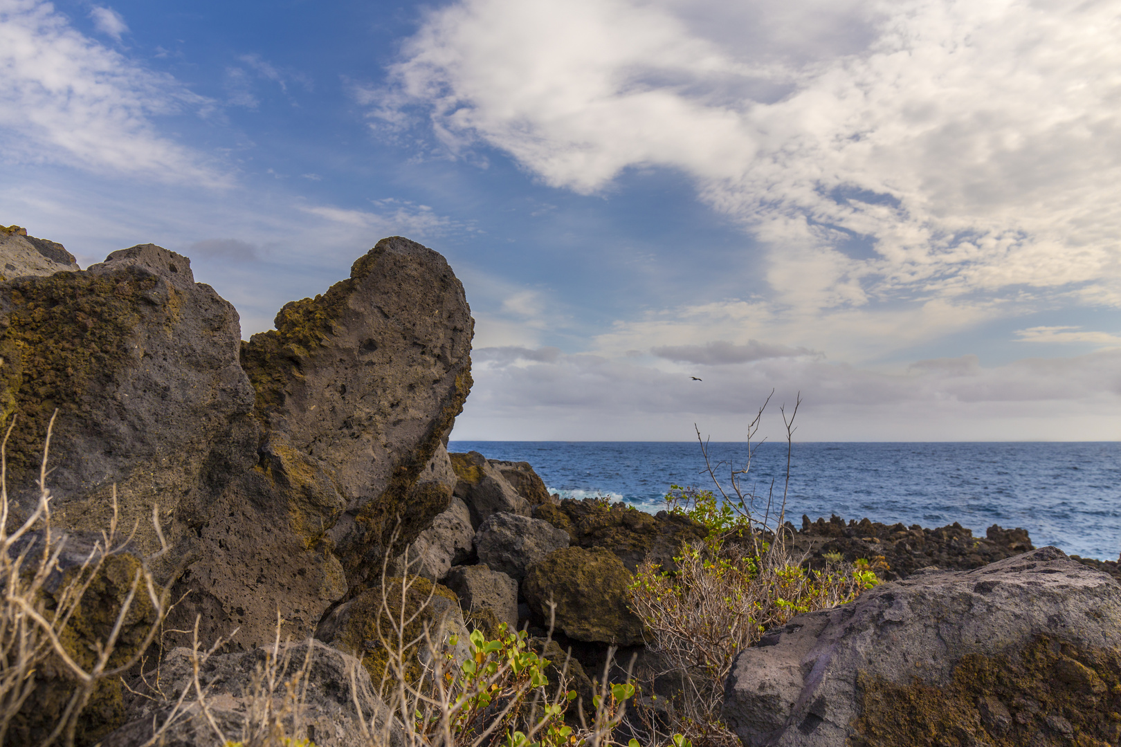 Kanaren - La Palma