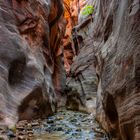 Kanarra Creek Canyon Hiking Trail (USA)